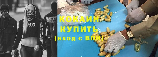 гидра Бородино