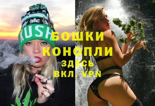 гидра Бородино