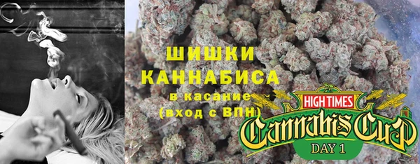 гидра Бородино