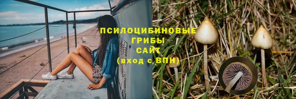гидра Бородино