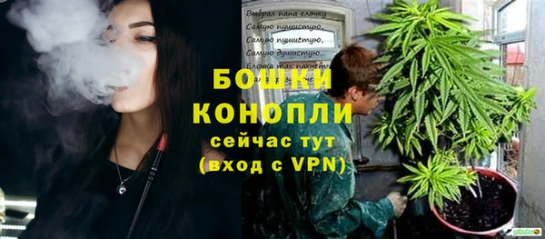 гидра Бородино