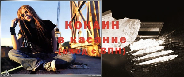 гидра Бородино