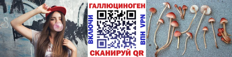 ОМГ ОМГ зеркало  Вичуга  Псилоцибиновые грибы MAGIC MUSHROOMS  сколько стоит 