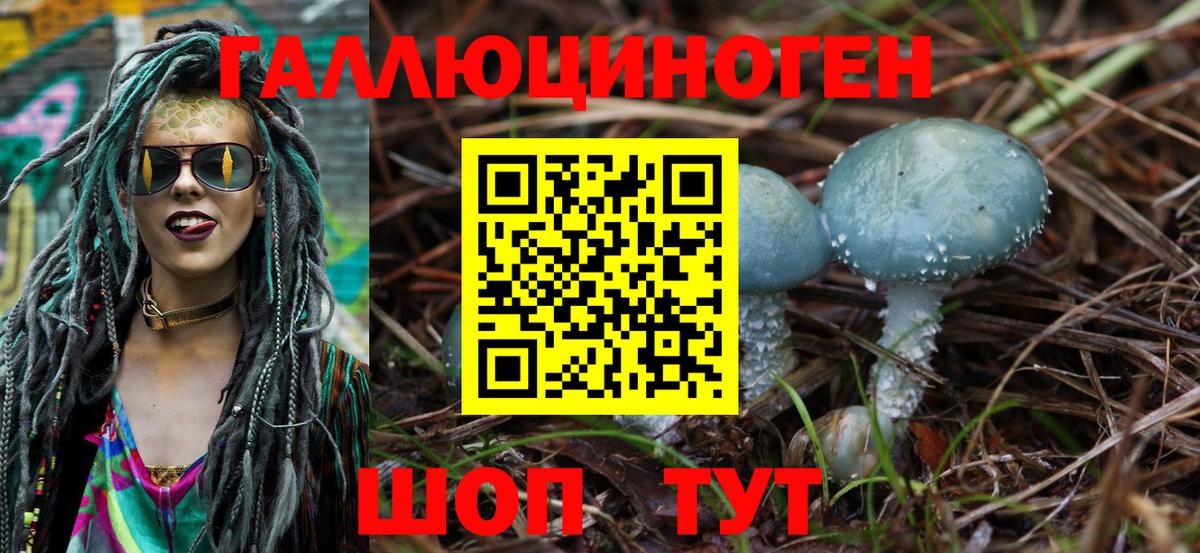 Псилоцибиновые грибы Cubensis Вичуга