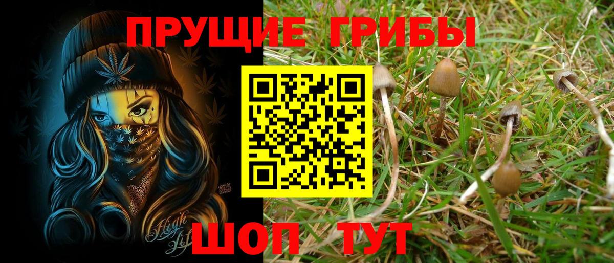 Каннабис  Лсд 25  Вичуга  COCAIN  Хэш  Вход с VPN  МЕФ 