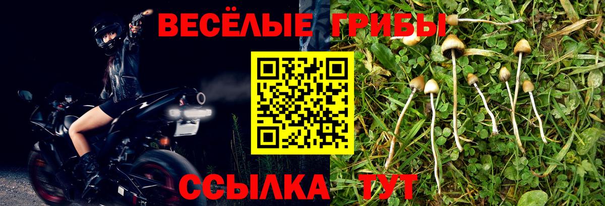 Вичуга  Галлюциногенные грибы прущие грибы  Галлюциногенные грибы ЛСД  Вход с VPN 