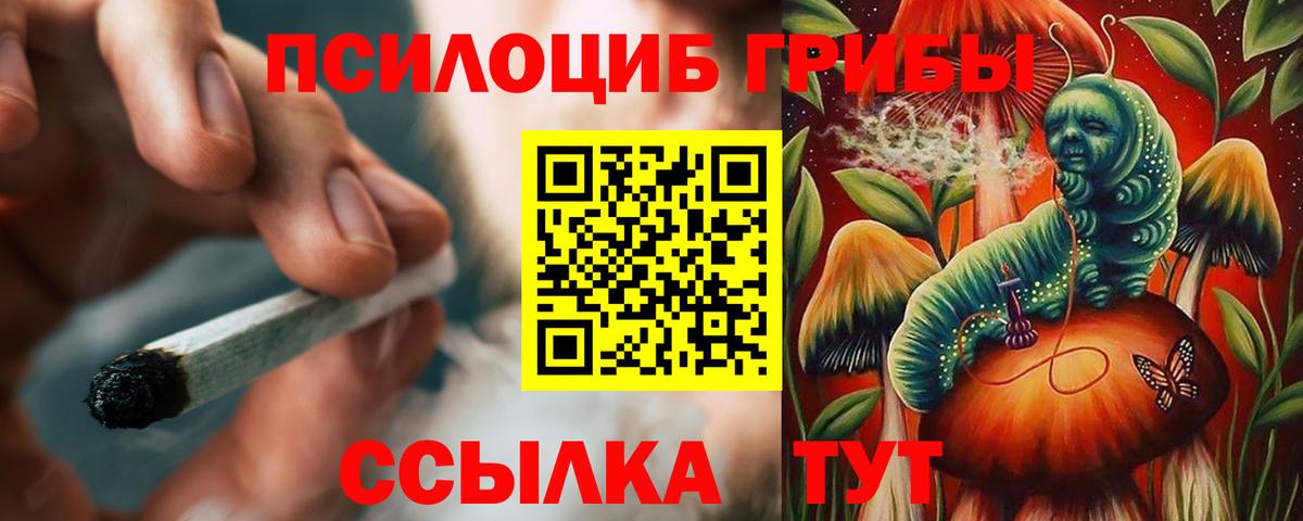 Псилоцибиновые грибы Psilocybine cubensis  Псилоцибиновые грибы ЛСД  Вичуга 